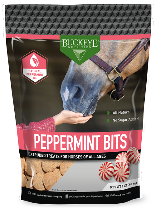 All Natural No Sugar Added Peppermint Bits Treats Canada package