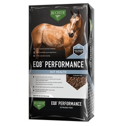 EQ8™ PERFORMANCE GUT HEALTH EXTRUDED FEED image