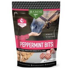 ALL NATURAL NO SUGAR ADDED PEPPERMINT BITS TREATS image