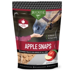 ALL NATURAL NO SUGAR ADDED APPLE SNAPS TREATS image