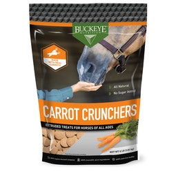 ALL NATURAL NO SUGAR ADDED CARROT CRUNCHERS TREATS image