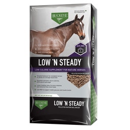 LOW 'N STEADY™ RATION BALANCER image