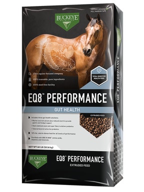EQ8_Performance Gut Health