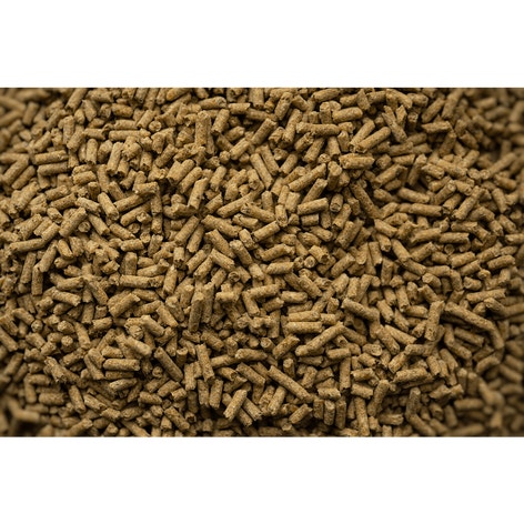 SENIOR BALANCER PELLETED RATION BALANCER image 1