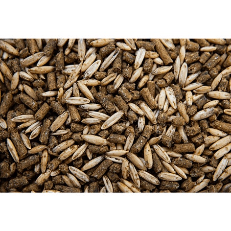 GROWTH TEXTURED SWEET FEED image 1