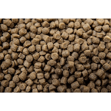 ULTIMATE FINISH™ 25 EXTRUDED FAT SUPPLEMENT image 1