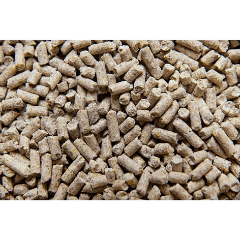 PLEASURE PELLET image 1