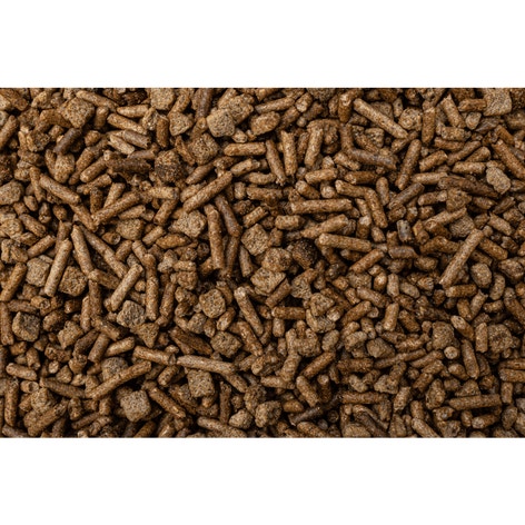EQ8™ Gut Health EXTRUDED MULTI-TEXTURED FEED image 1