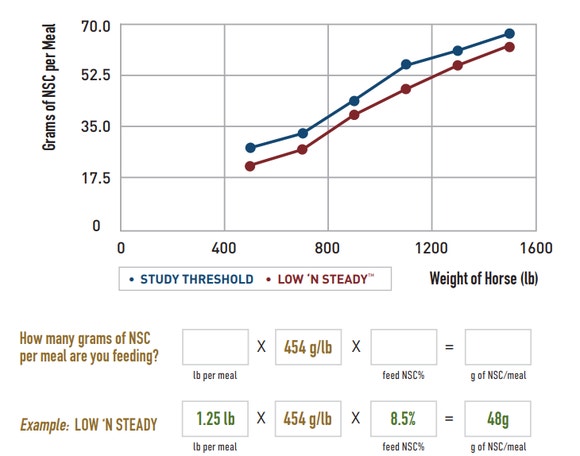 NSC calculation formula for horse feed with LOW 'N STEADY example showing 1.25 lb.. × 454 g/lb. × 8.5% NSC = 48 grams of NSC per meal. Graph comparing NSC grams per meal by horse weight: Study Threshold vs BUCKEYE Low 'N Steady Feed.