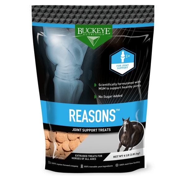 REASONS™ JOINT SUPPORT TREATS image 1
