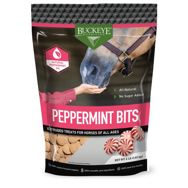 ALL NATURAL NO SUGAR ADDED PEPPERMINT BITS TREATS image 1