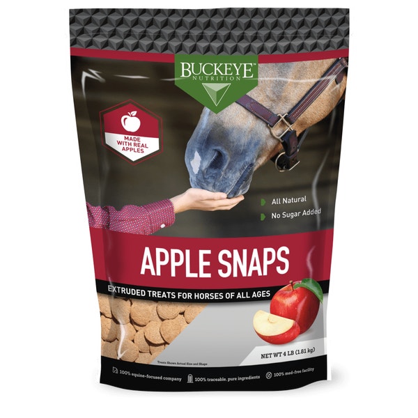 ALL NATURAL NO SUGAR ADDED APPLE SNAPS TREATS image 1