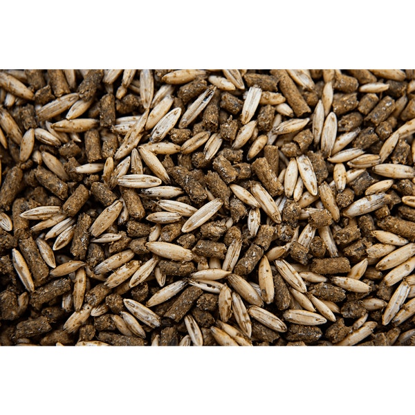 GROWTH TEXTURED SWEET FEED image 2