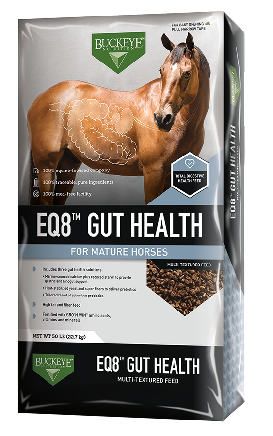 5Kg HORSEY PORRIDGE COMPLETE NUTRITIOUS FEED LAMINITIS/CUSHINGS HORSE & PONY 
