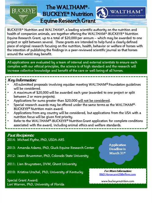 Equine Research Grant