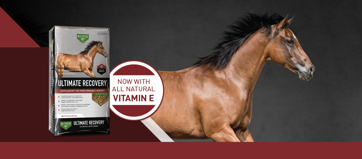 21-mars-136-ultimate-recovery-fb