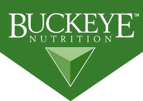 5 logo