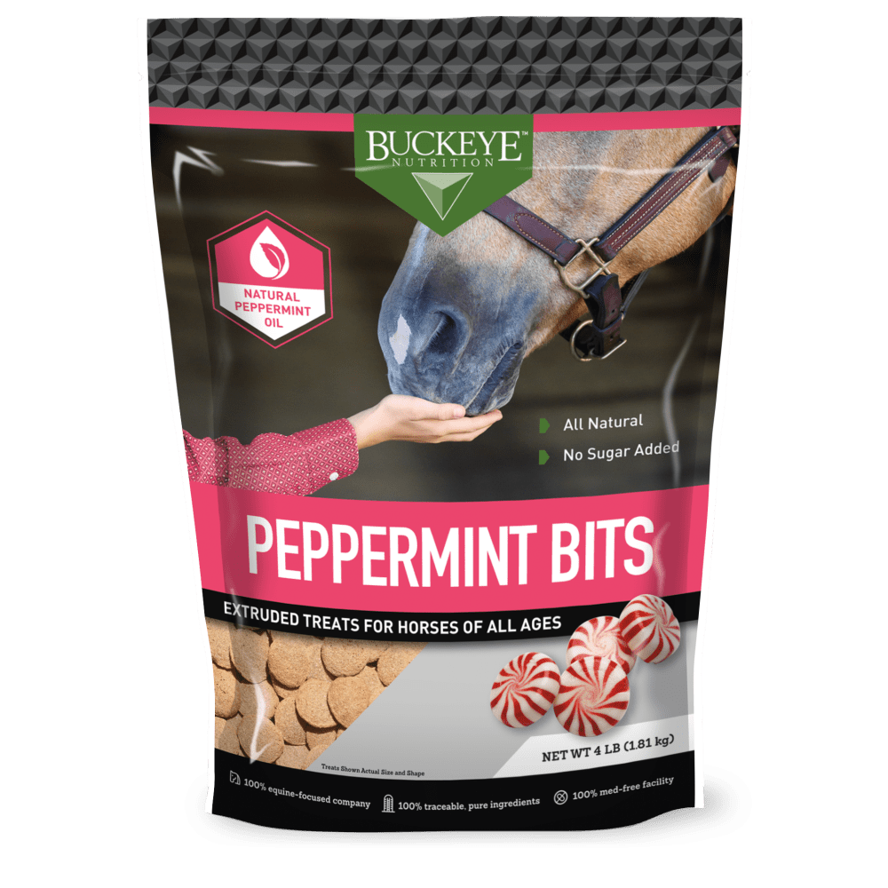 ALL NATURAL NO SUGAR ADDED PEPPERMINT BITS TREATS CANADA