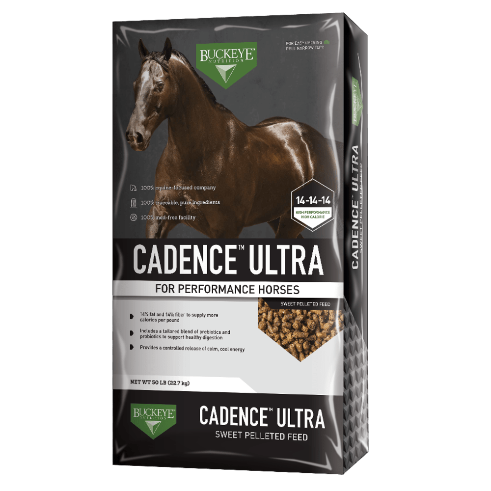 4ae1b9efcdaab6f1a532d7173a2659